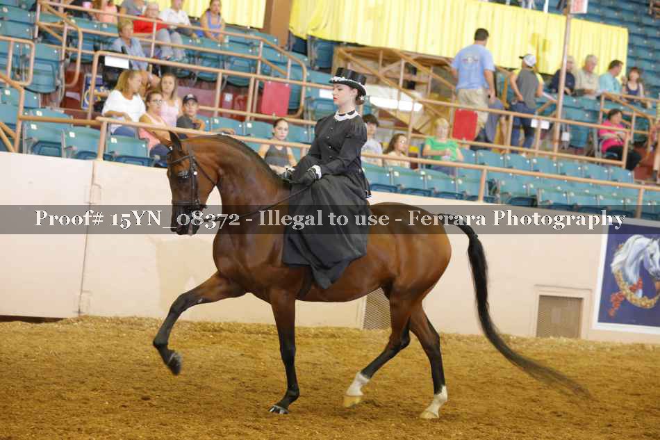 Proof 15YN_08372