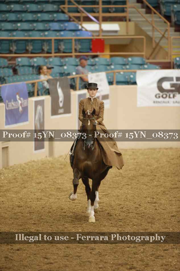 Proof 15YN_08373