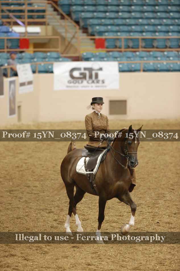 Proof 15YN_08374