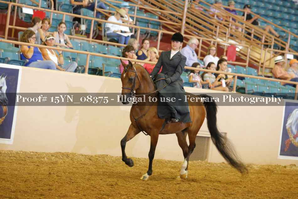 Proof 15YN_08375