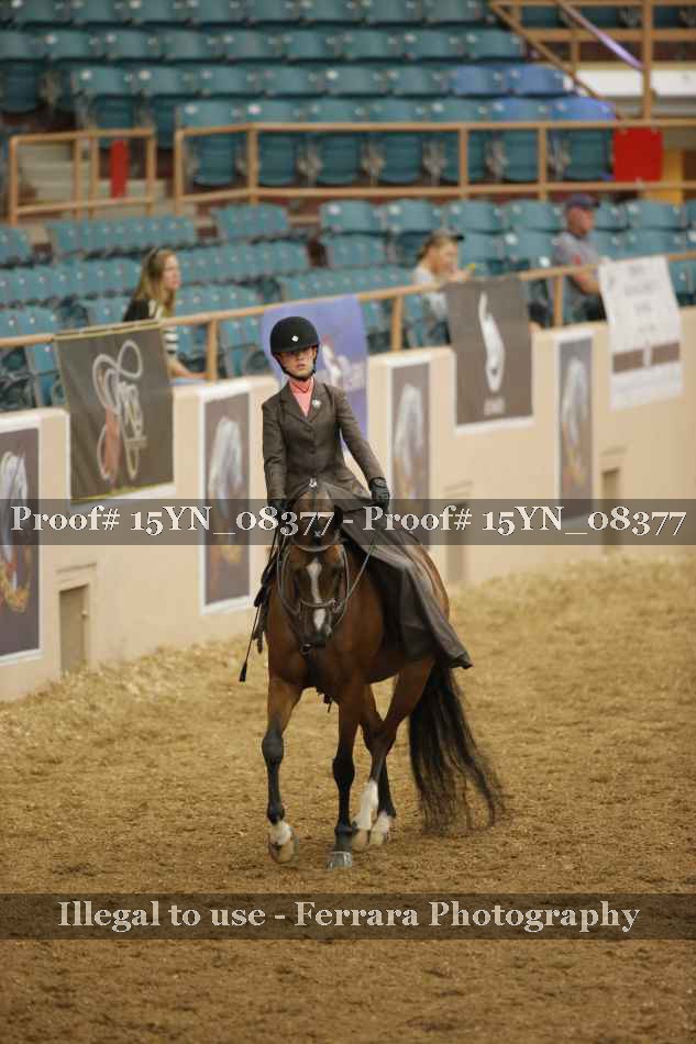 Proof 15YN_08377