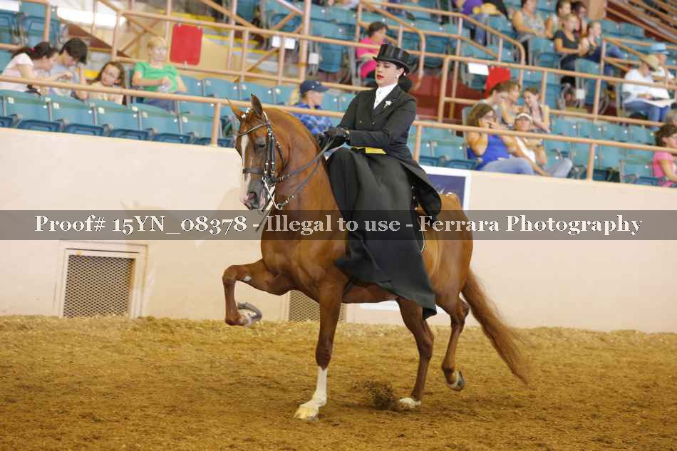 Proof 15YN_08378