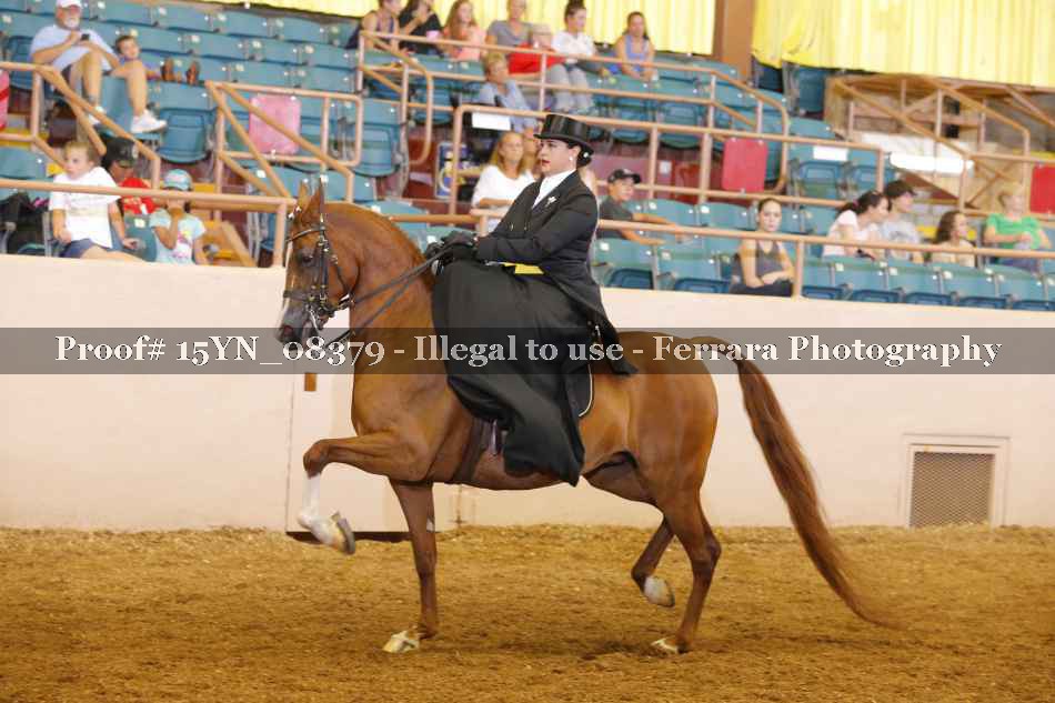 Proof 15YN_08379