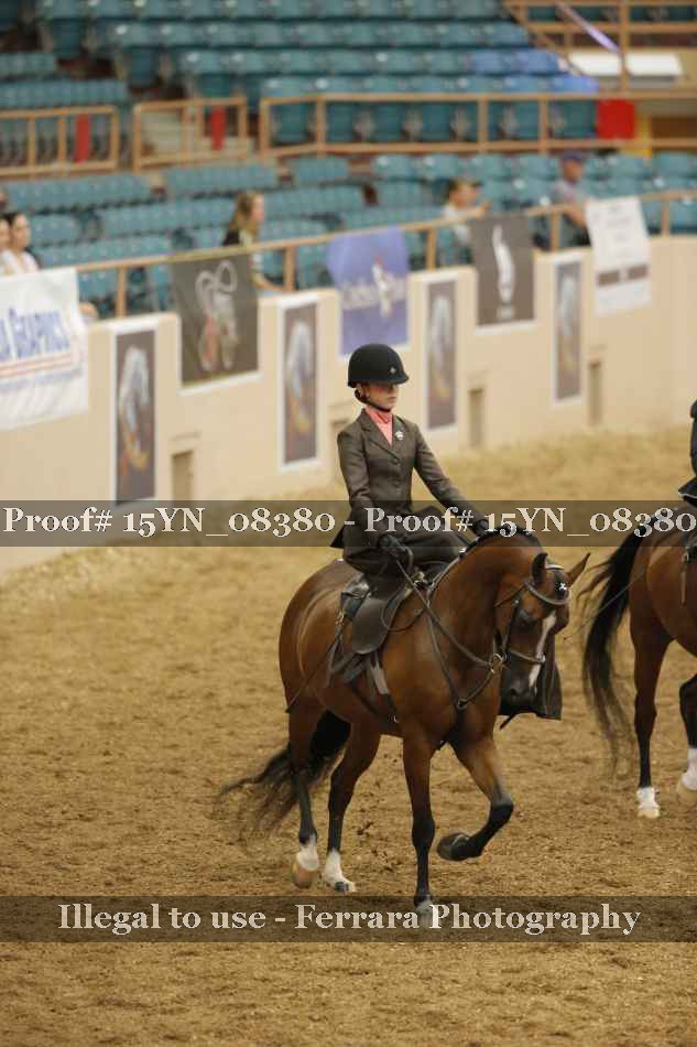 Proof 15YN_08380