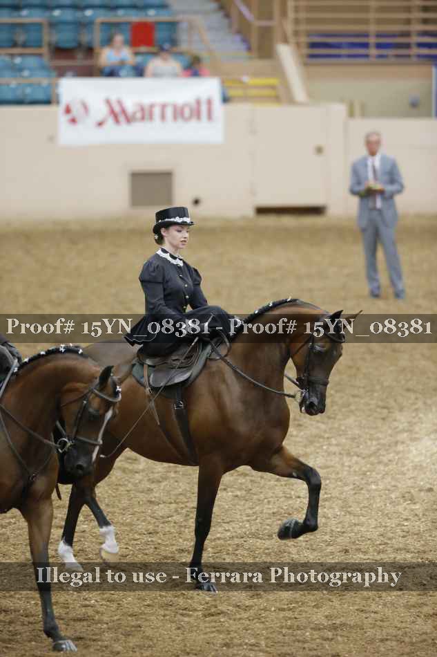 Proof 15YN_08381