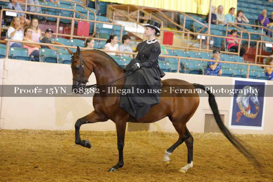 Proof 15YN_08382