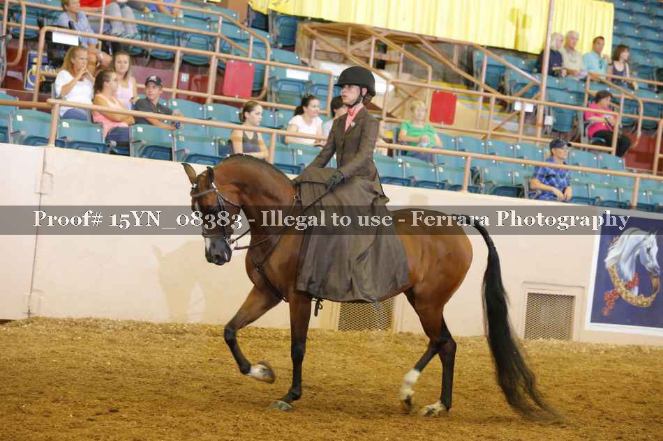 Proof 15YN_08383