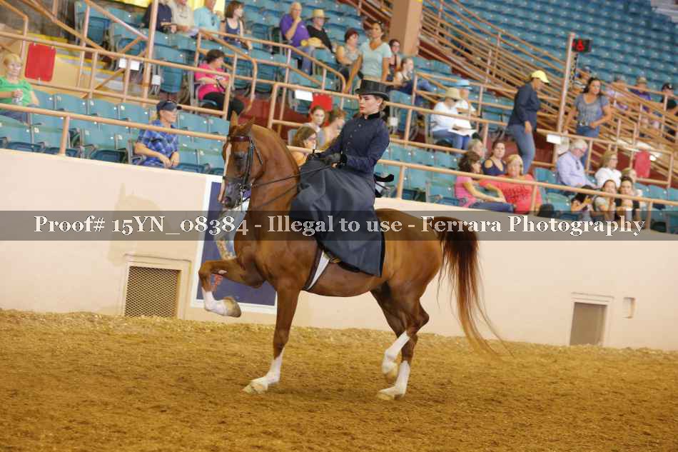 Proof 15YN_08384