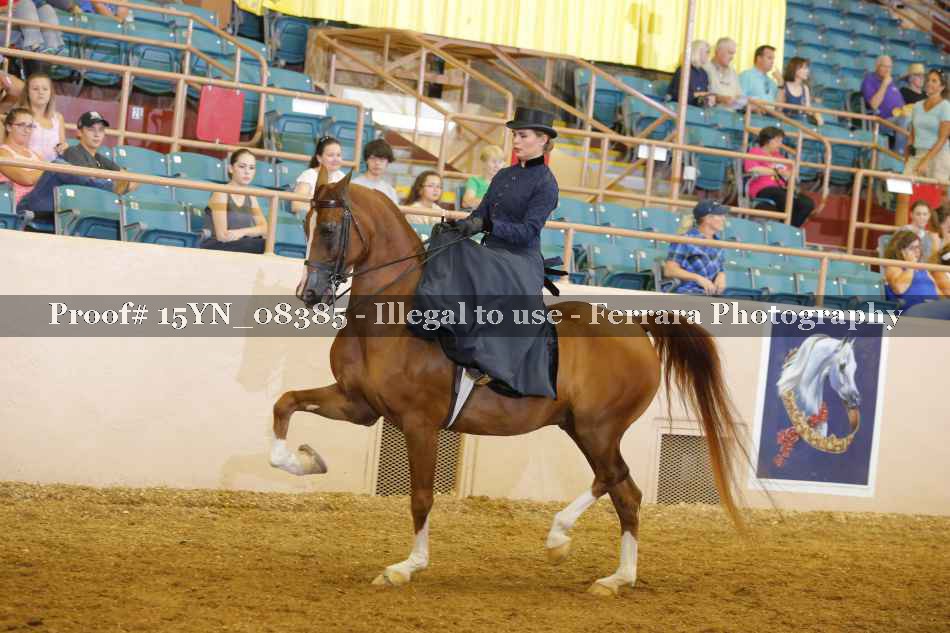 Proof 15YN_08385