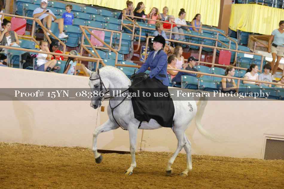 Proof 15YN_08386
