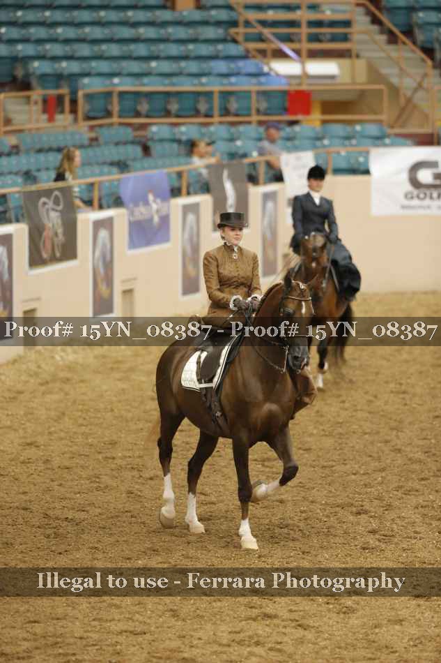 Proof 15YN_08387