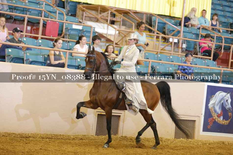 Proof 15YN_08388
