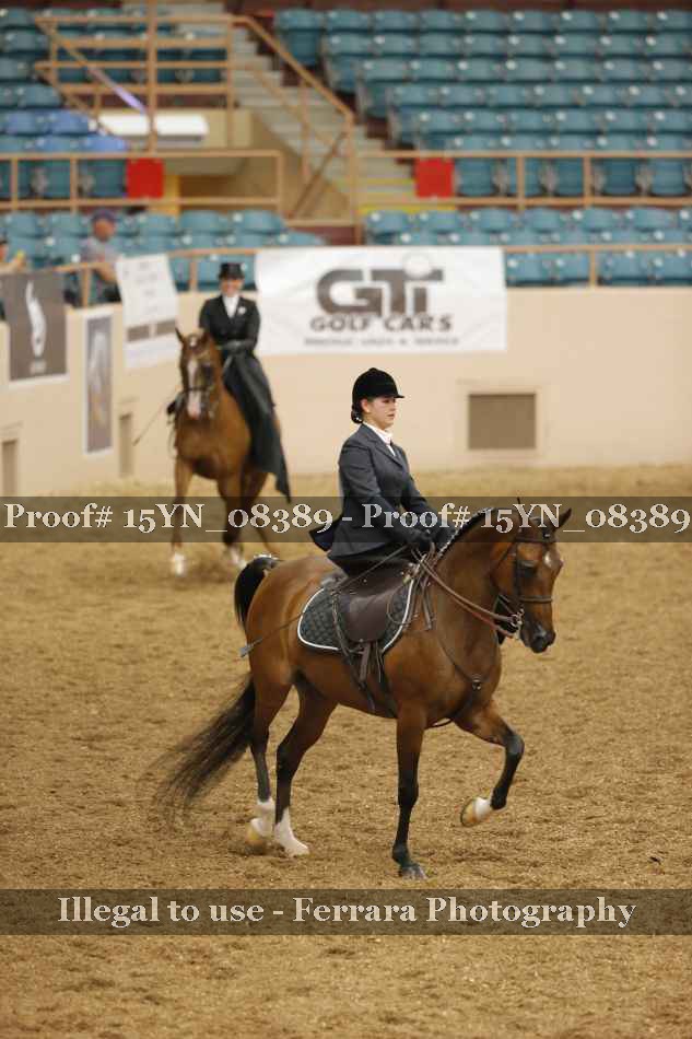 Proof 15YN_08389