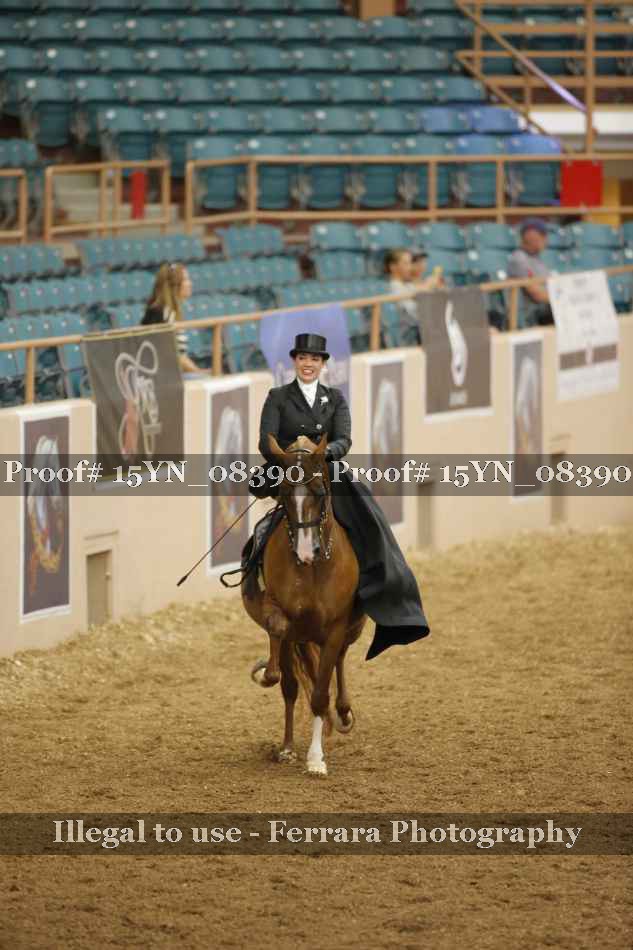 Proof 15YN_08390