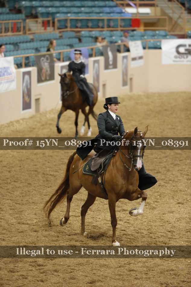 Proof 15YN_08391