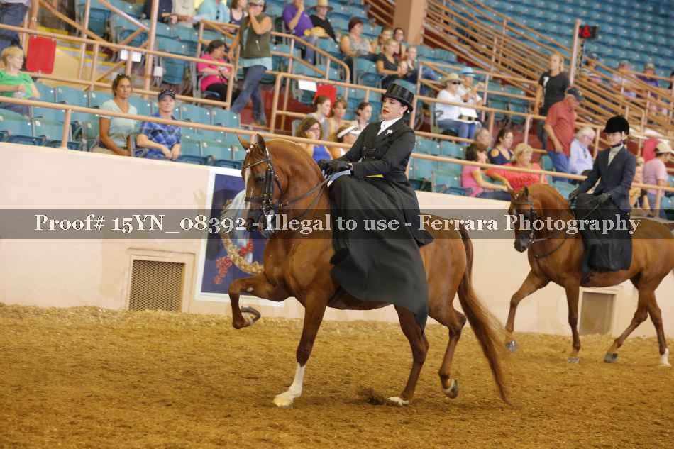 Proof 15YN_08392