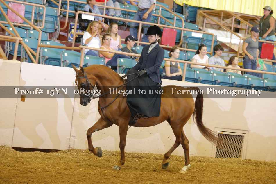 Proof 15YN_08393