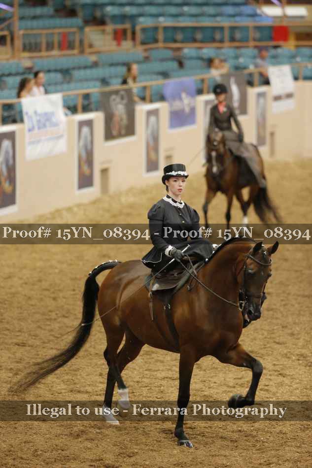 Proof 15YN_08394