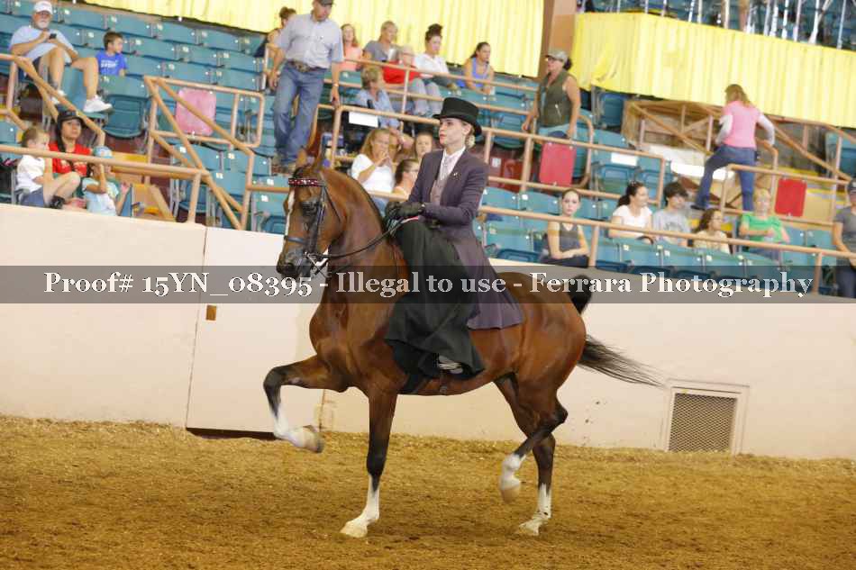 Proof 15YN_08395