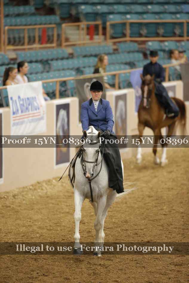 Proof 15YN_08396