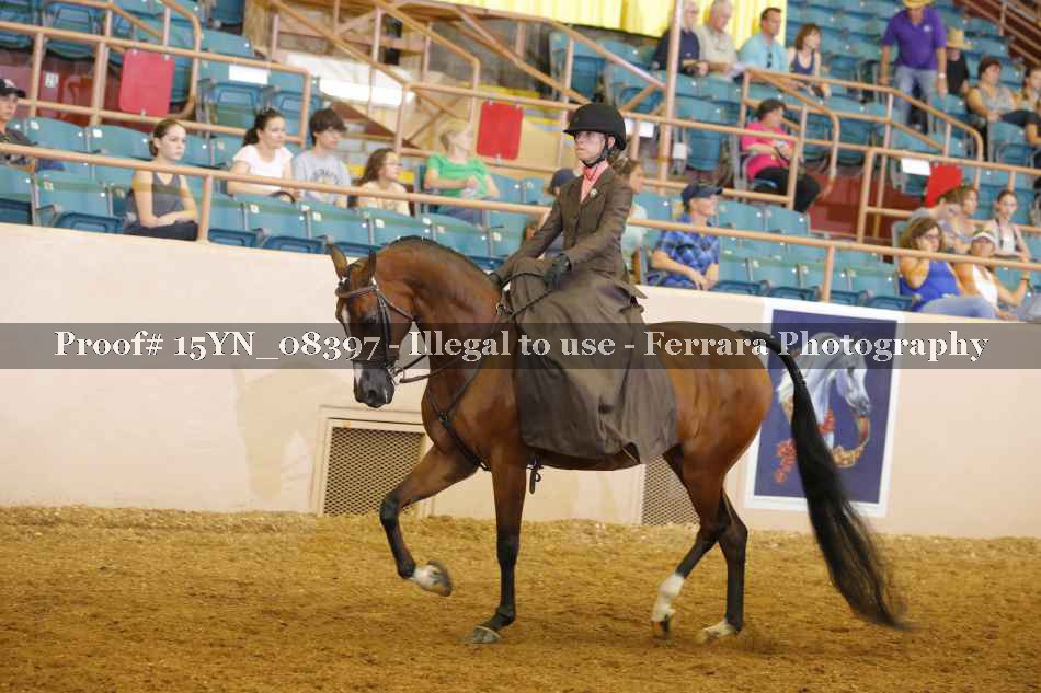Proof 15YN_08397