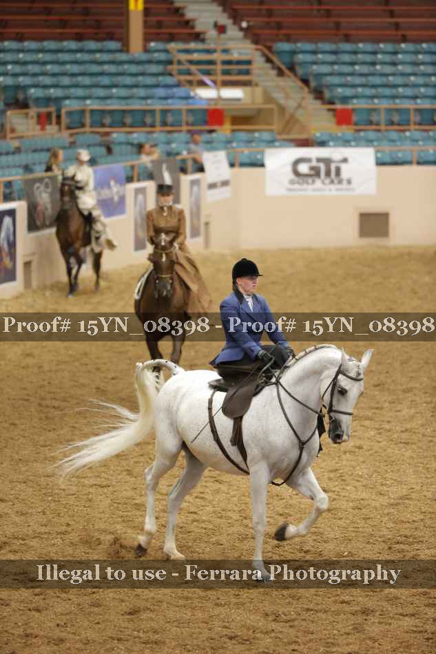 Proof 15YN_08398