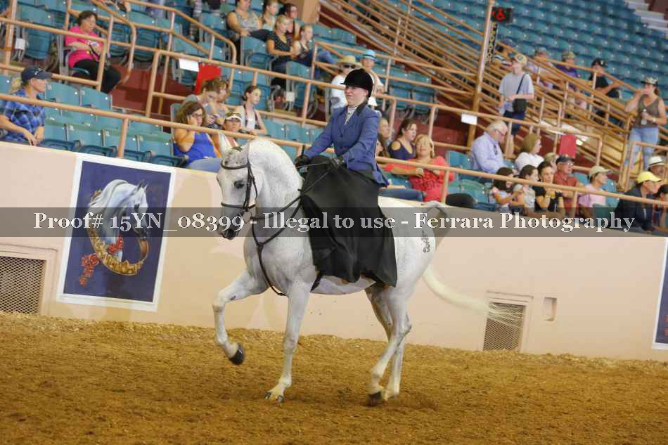 Proof 15YN_08399