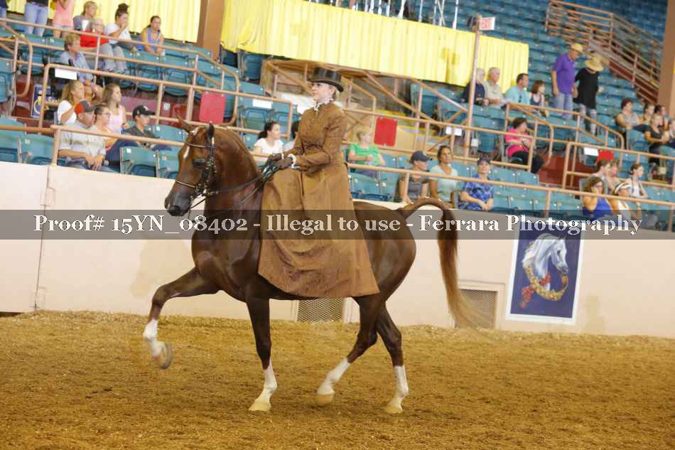 Proof 15YN_08402