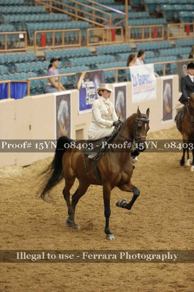 Proof 15YN_08403