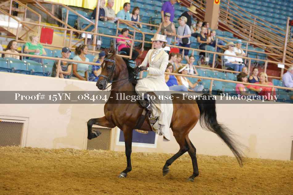 Proof 15YN_08404
