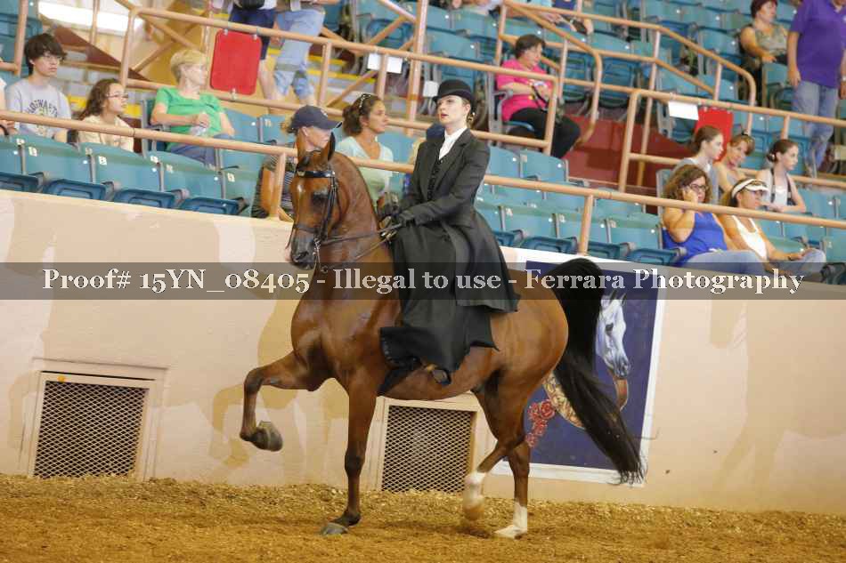 Proof 15YN_08405