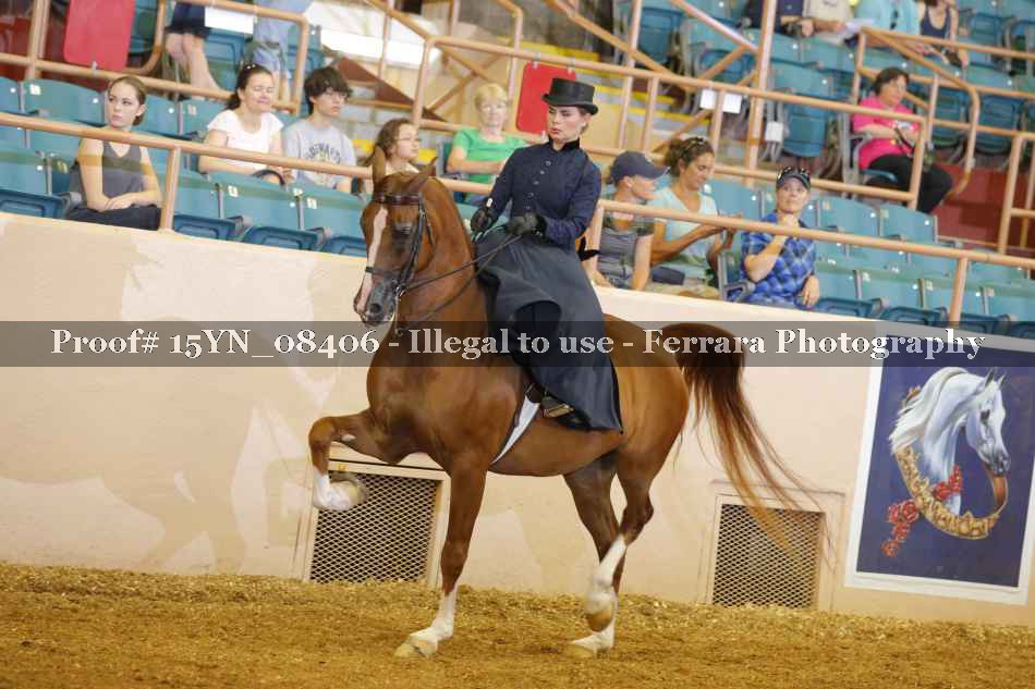 Proof 15YN_08406