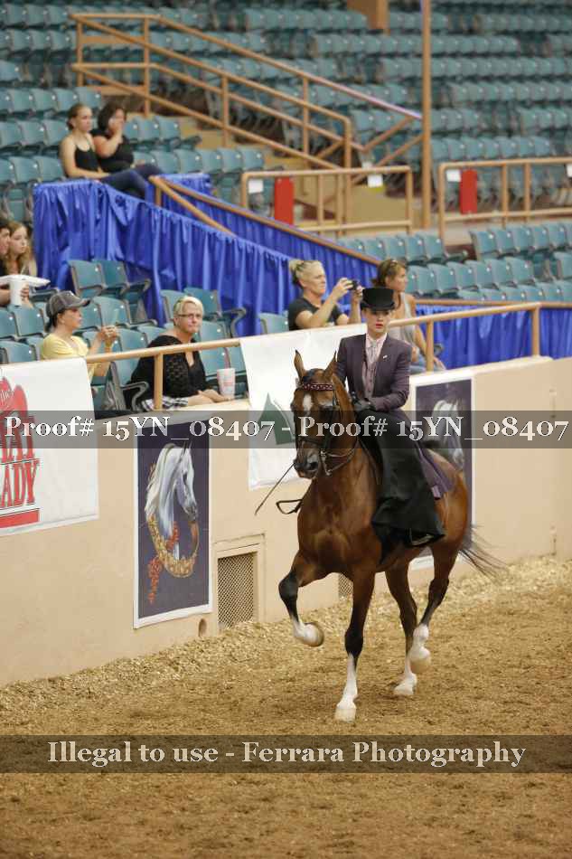 Proof 15YN_08407