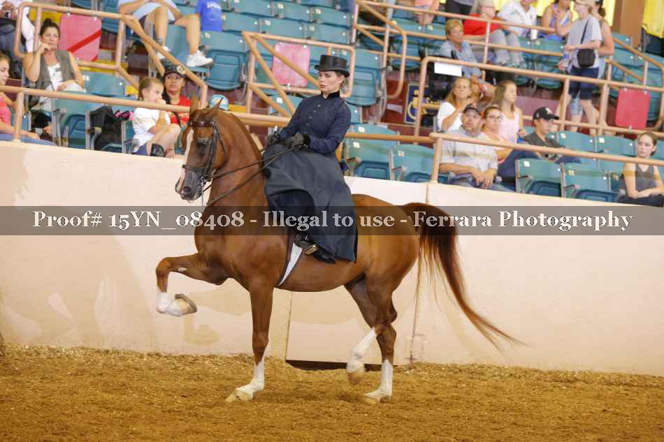 Proof 15YN_08408