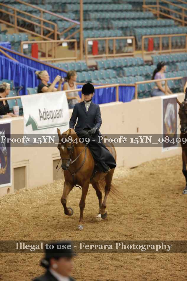 Proof 15YN_08409