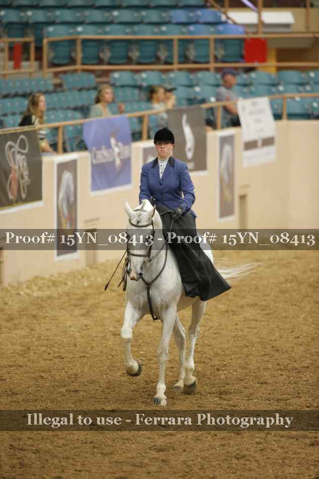 Proof 15YN_08413