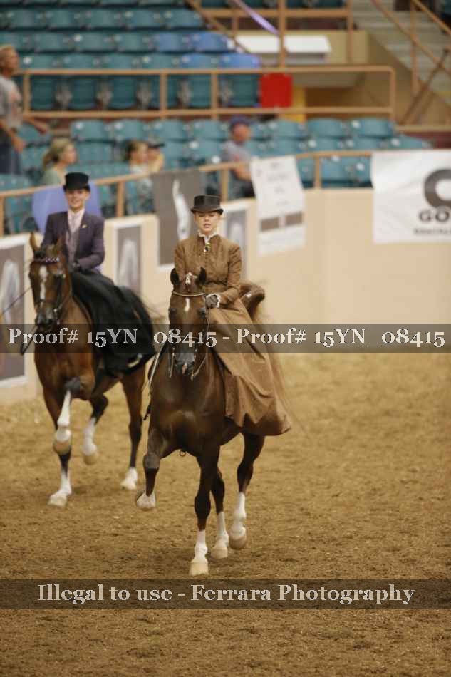 Proof 15YN_08415