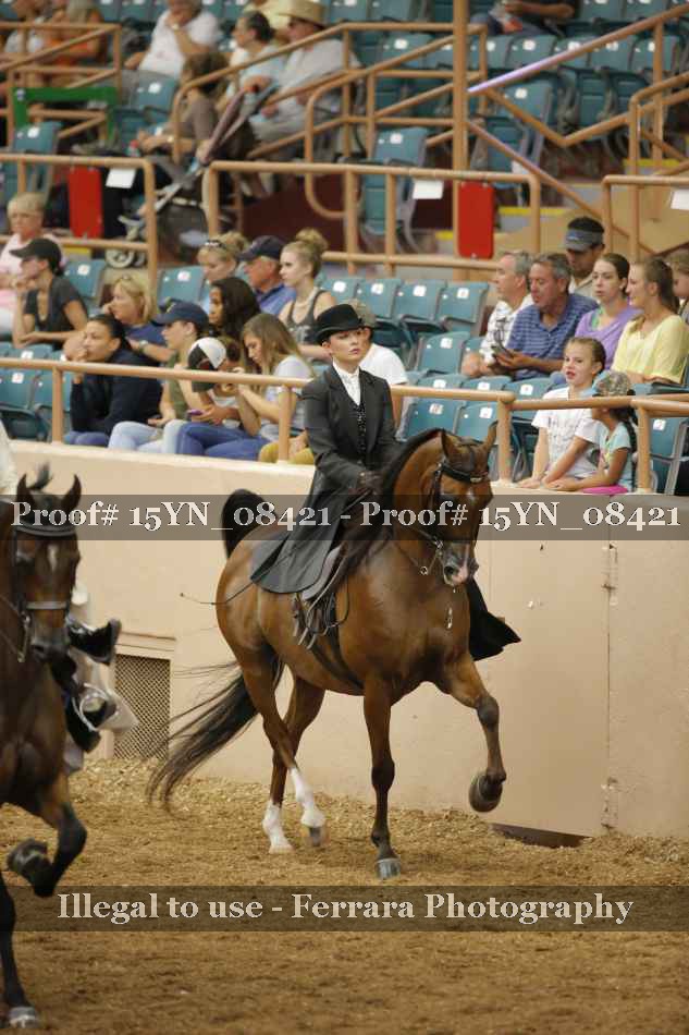 Proof 15YN_08421