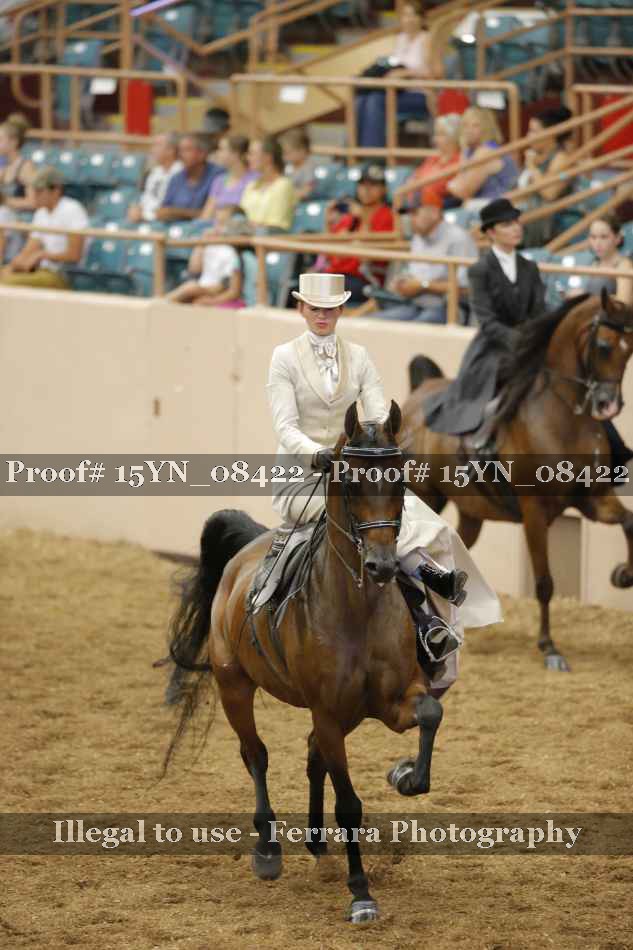 Proof 15YN_08422