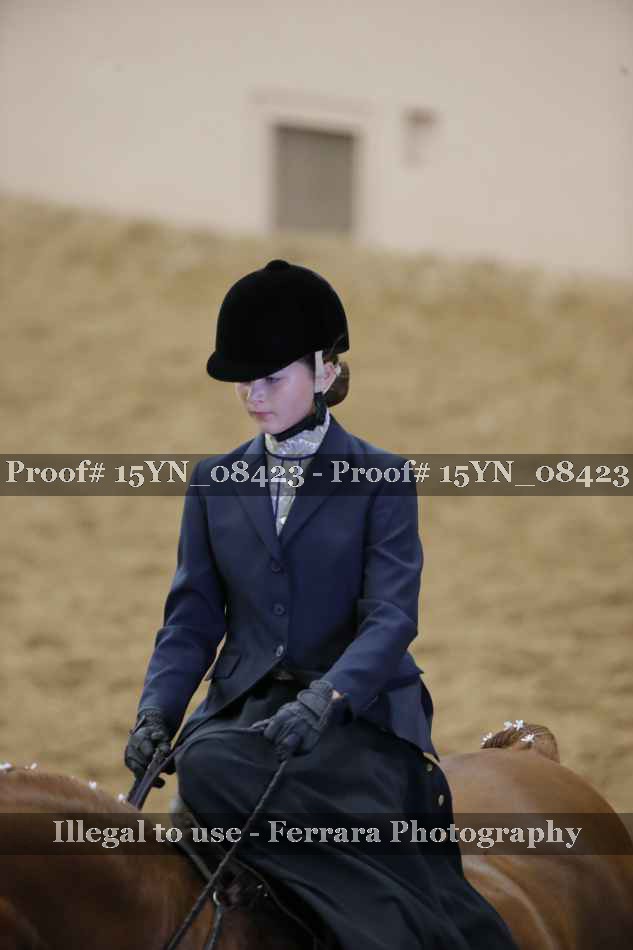 Proof 15YN_08423