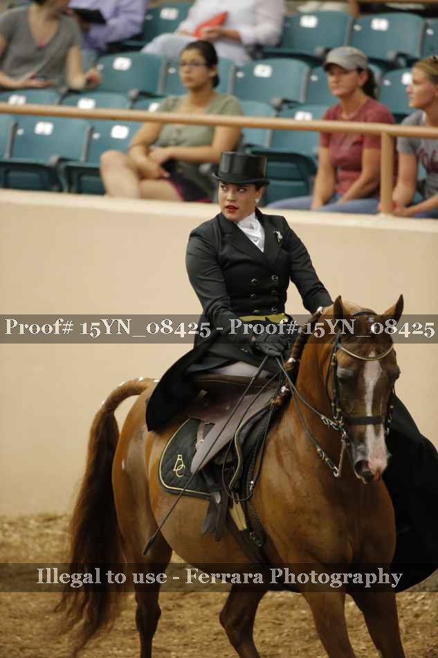 Proof 15YN_08425