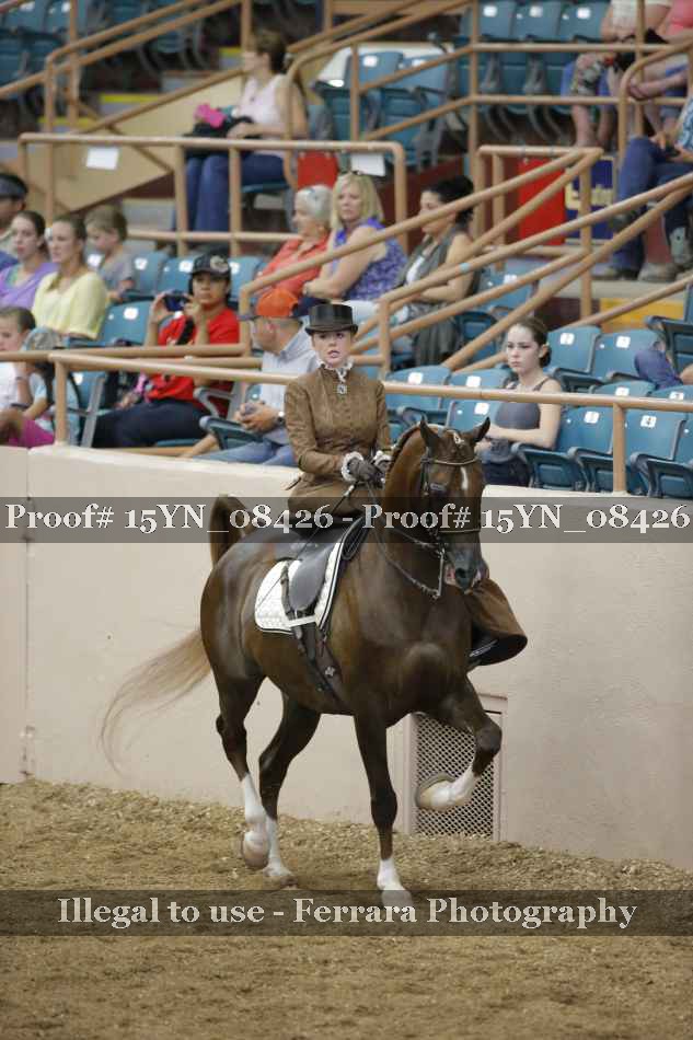 Proof 15YN_08426