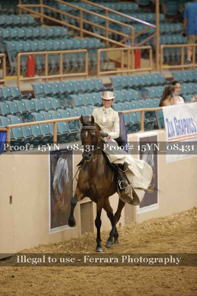 Proof 15YN_08431