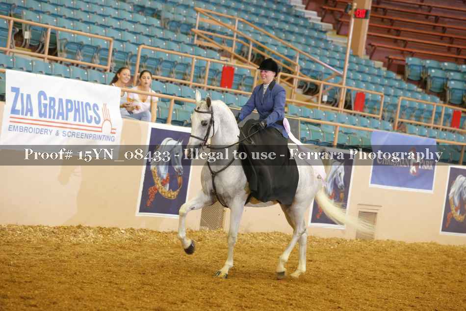 Proof 15YN_08433