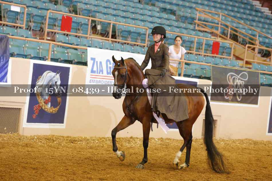Proof 15YN_08439