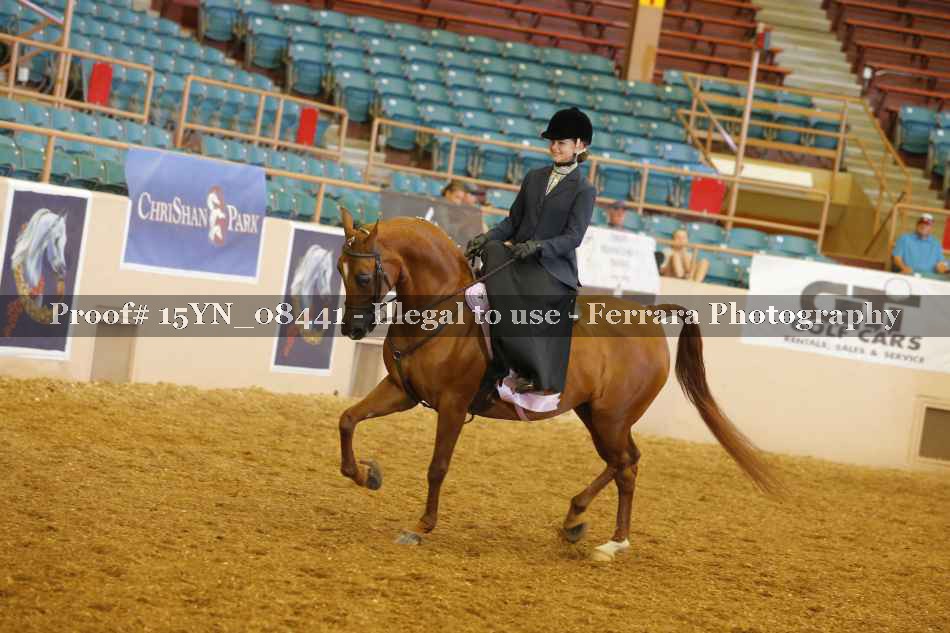 Proof 15YN_08441