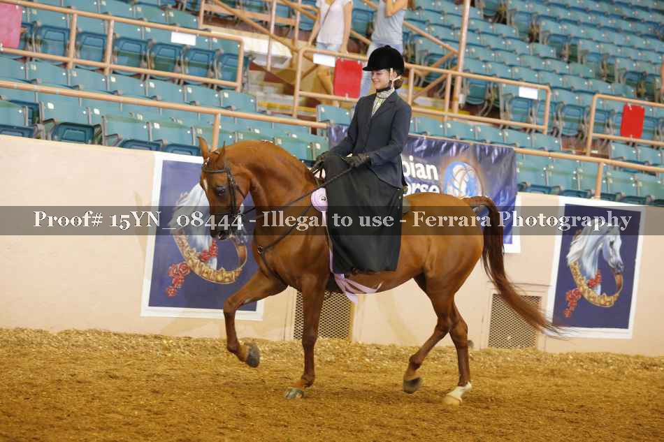 Proof 15YN_08444