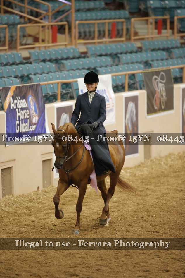 Proof 15YN_08445