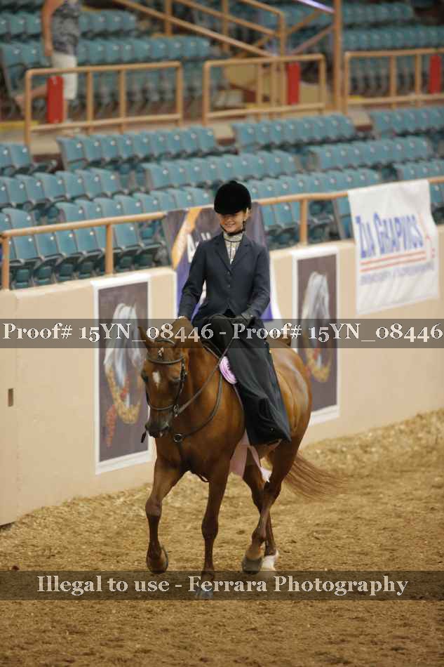Proof 15YN_08446
