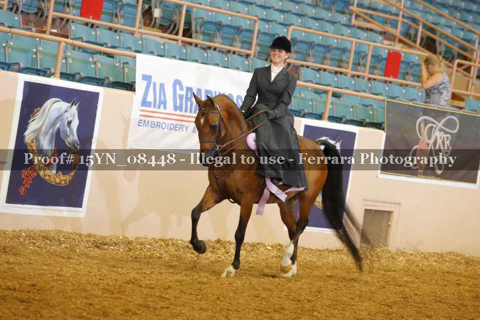 Proof 15YN_08448